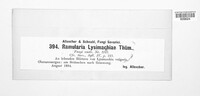 Ramularia lysimachiae image